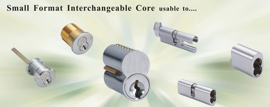 IC Core Locks MVM Security 